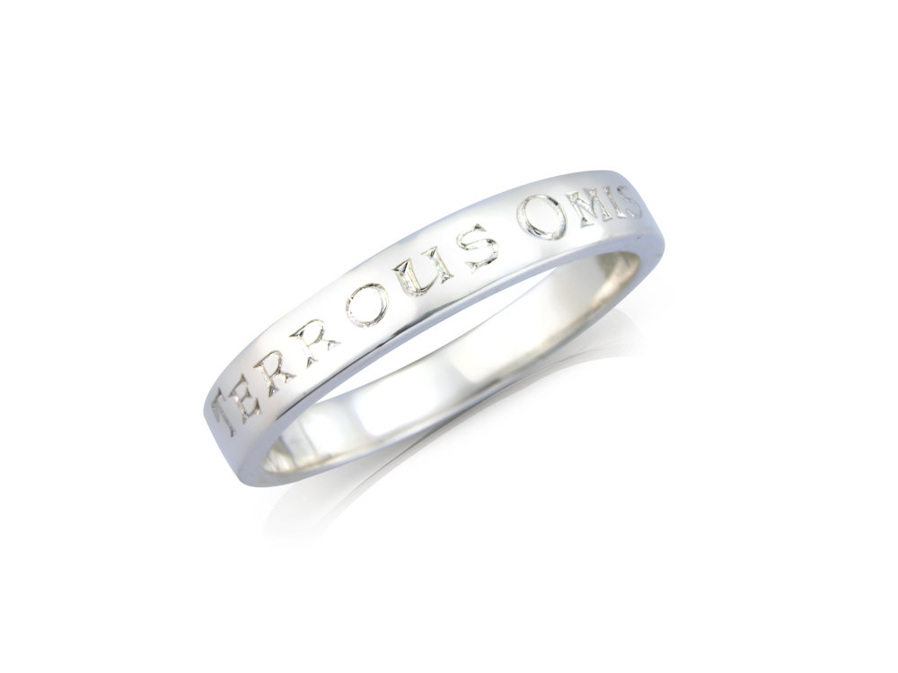Sterling Silver Ring  (Friends Forever)